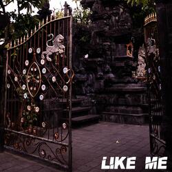 Like Me