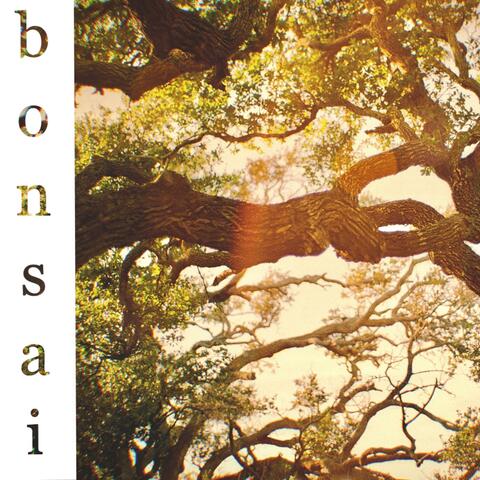 Bonsai