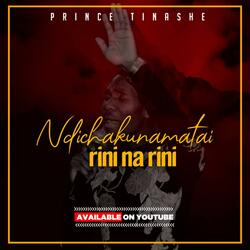 Ndichakunamatai
