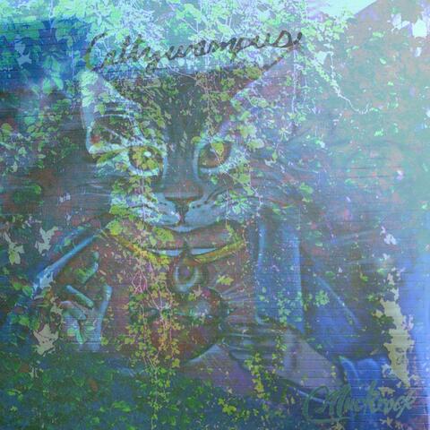 Cattywampus