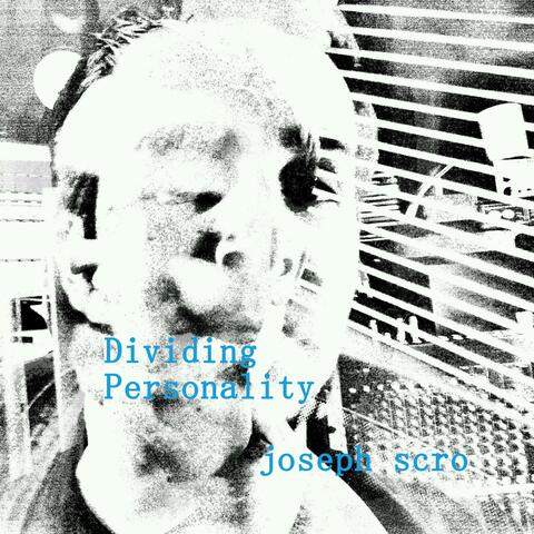 Dividing Personality