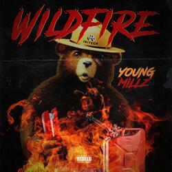 Wildfire
