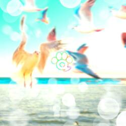 GULL
