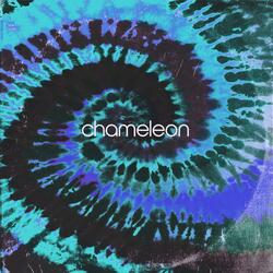 Chameleon