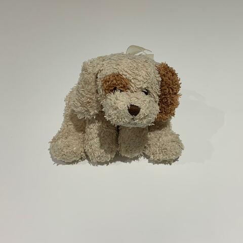 Shaggy Dog