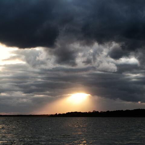 I'll Head Into the Storm