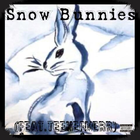 Snow Bunnies (feat. Teehefnerr)