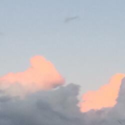 Utopian Dreams