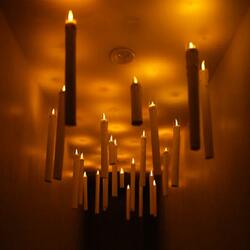 Shine a Light