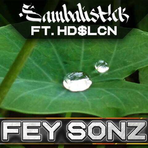 Fey sonz (feat. HdSLcN)
