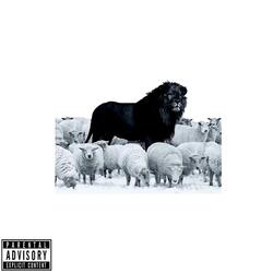 No Trust (feat. Wheelchair Goat)
