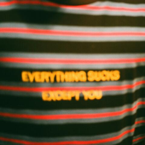 Everything Sucks Except You
