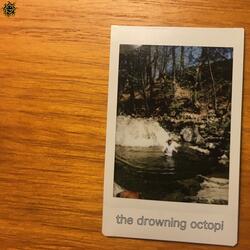 Down the River