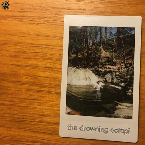 Flop Falls