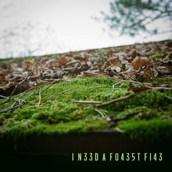 I Need a Forest Fire (feat. James Boland)