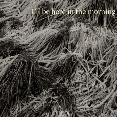 I'll Be Here in the Morning // Cars That Smell Like Bars