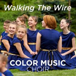Walking the Wire