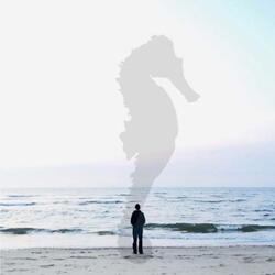 Giant Seahorses