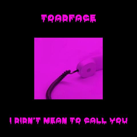 I Didn't Mean to Call You