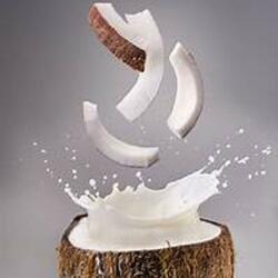 Coconut (feat. Eddy Dyno)