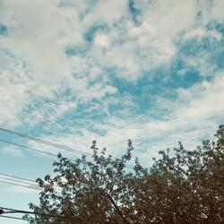 This Love Is Free