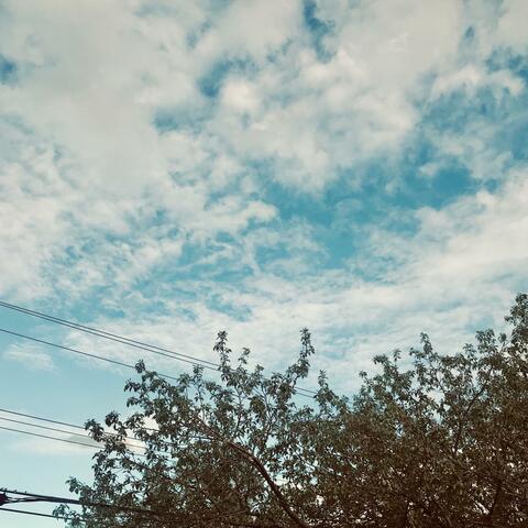 This Love Is Free