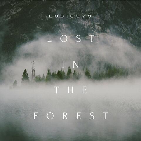 Lost in the Forest