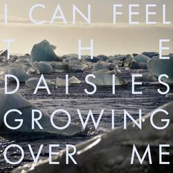 I Can Feel the Daisies Growing Over Me