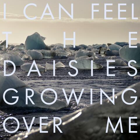 I Can Feel the Daisies Growing Over Me