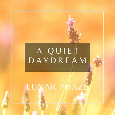 A Quiet Daydream