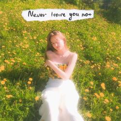 Never Leave You Not