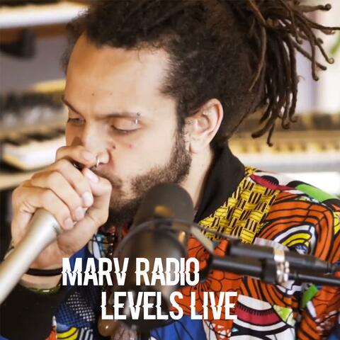 Levels