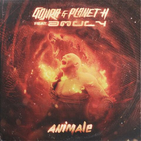 Animale (feat. Amuly)