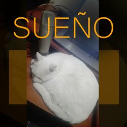 Sueño