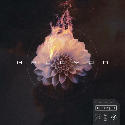 Halcyon