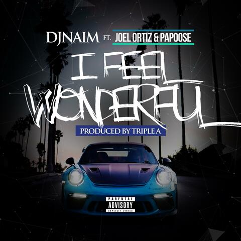 I Feel Wonderful (feat. Joel Ortiz & Papoose)