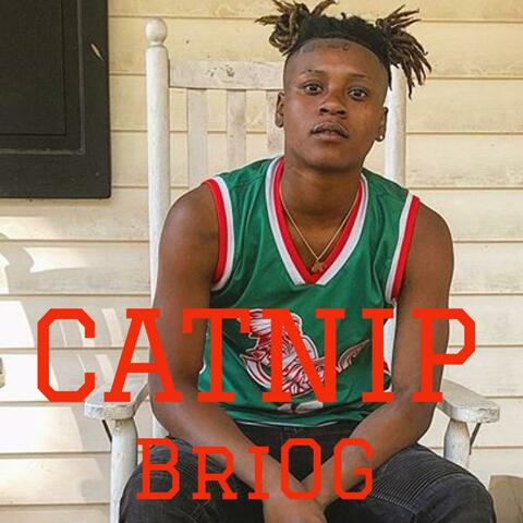 Catniip