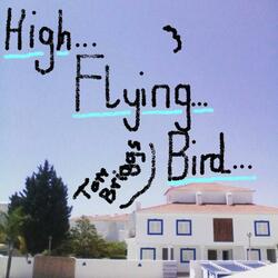 High Flying Bird