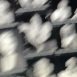 Searching for Marilyn