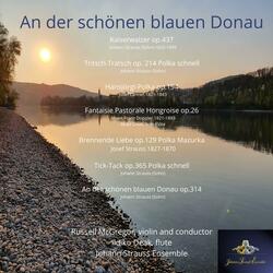 An der schönen blauen Donau op.314 (waltz)