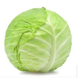 Cabbage Man