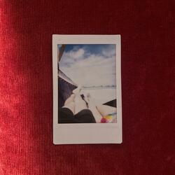 Palm Trees