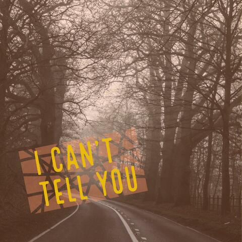 I Can't Tell You