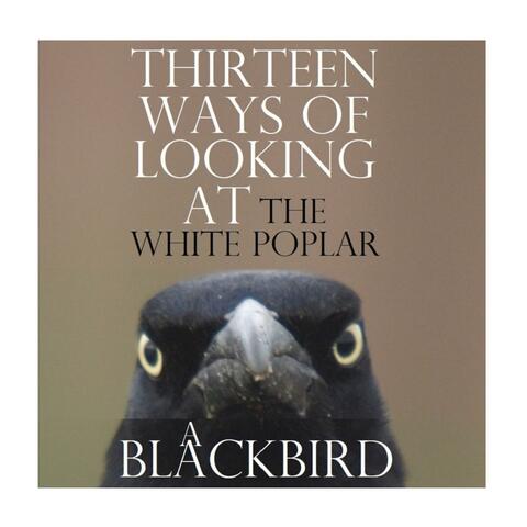 Thirteen Ways of Looking at a Blackbird