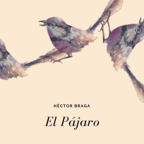El Pájaro