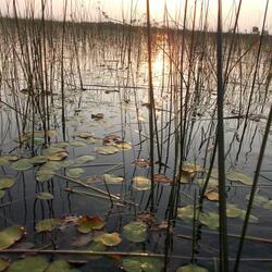 Peace Is More Than a Word