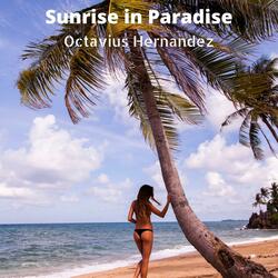 Sunrise in Paradise