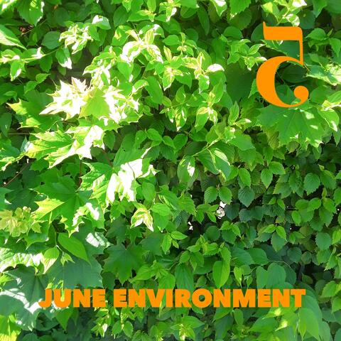 June Environment