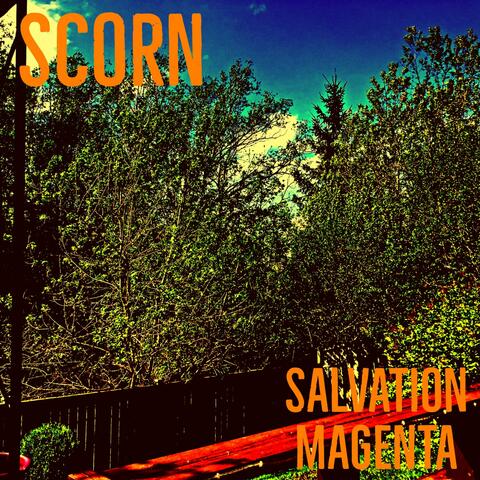 Scorn