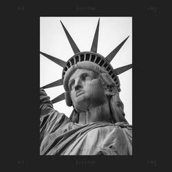 Let Freedom Ring! (They Can't Make Us All Go to Jail!)